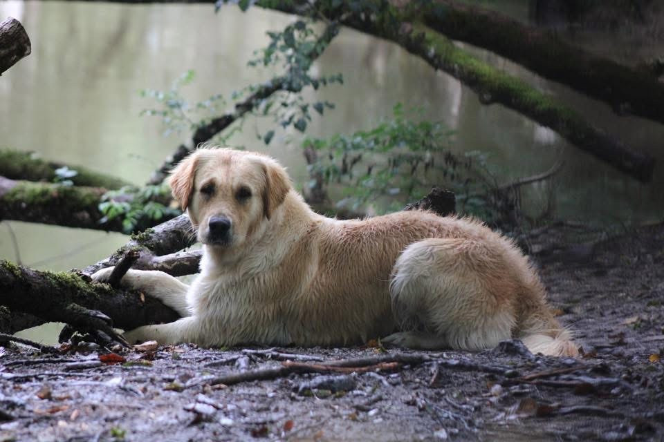 The Fire N Ice Of Pelennor Fields