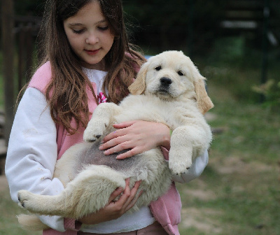 CHIOT